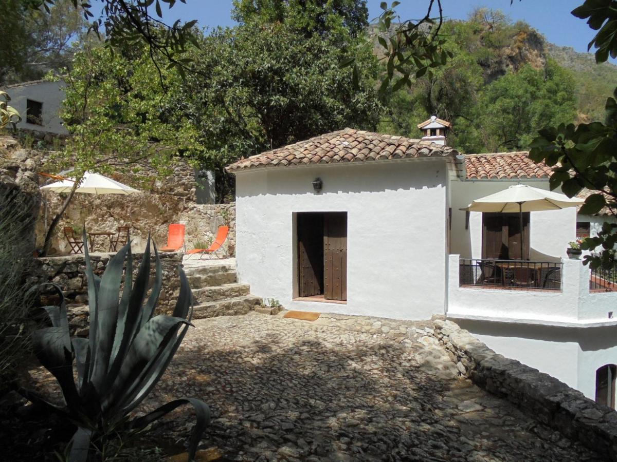El Pastor Villa Grazalema Kültér fotó